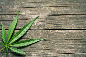 Why Choose Jones Criminal Defense Attorneys If You’re Facing Marijuana Charges in Albuquerque, NM?
